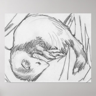 「ストライプ」フェレットスケッチポスター ポスター