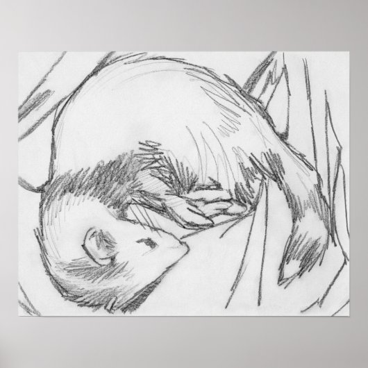 「ストライプ」フェレットスケッチポスター ポスター (正面)