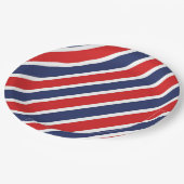 ストライプ ペーパープレート (アングル)