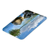 ストラブスクプレソ磁石 マグネット (左側)