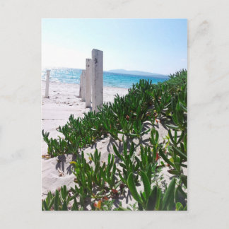 ストランドベイアルゲーロサルディニエンポストカルテ ポストカード