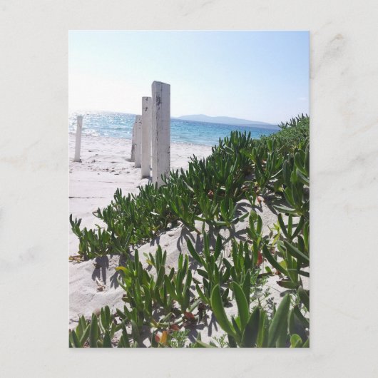 ストランドベイアルゲーロサルディニエンポストカルテ ポストカード (正面)