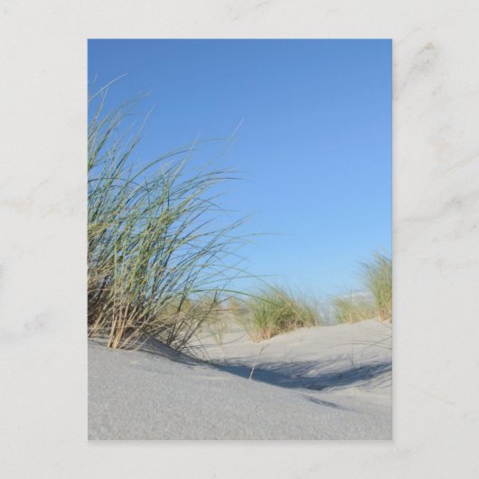 ストランド ポストカード (正面)