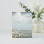 ストランド ポストカード (スタンド正面)