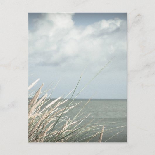 ストランド ポストカード (正面)