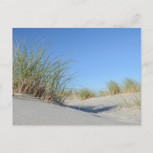 ストランド ポストカード (正面)