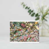 ストリカラフルーム ポストカード (スタンド正面)