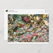 ストリカラフルーム ポストカード (正面/裏面)