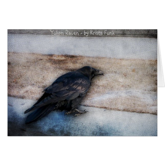 ストリップを競争させているワタリガラス (正面横)