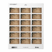 ストリングライトの石工の瓶を持つ素朴な住所 シール (フルシート)