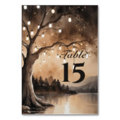 ストリングライトオンツリーロマンチックな田舎の結婚式 テーブルナンバー (正面)