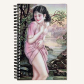 ストリームオアシスで上海の中国人女性にからかわれて ノートブック (正面)