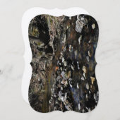 ストリームクールフラットカード (正面/裏面)