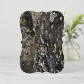 ストリームクールフラットカード (スタンド正面)