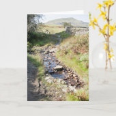 ストリームコニストンクンブレイイングランド カード (黄色い花)