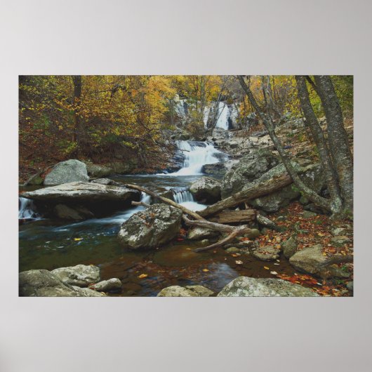 ストリーム ポスター (正面)