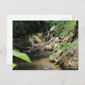 ストリーム ポストカード (正面/裏面)