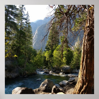 ストリーム、森林、山のポスター ポスター