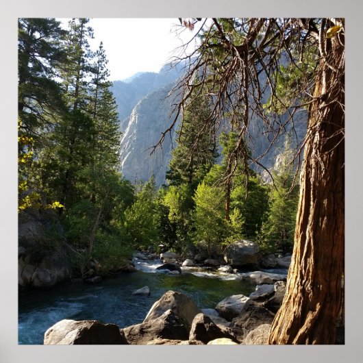 ストリーム、森林、山のポスター ポスター (正面)