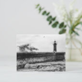 ストリー日... ポストカード (スタンド正面)