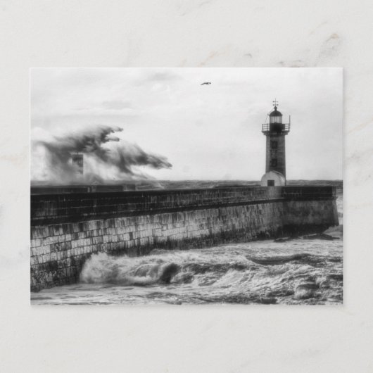 ストリー日... ポストカード (正面)