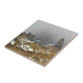 ストルの老人 タイル (側面)