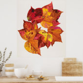 ストルク大工芸品 ポスター (キッチン)