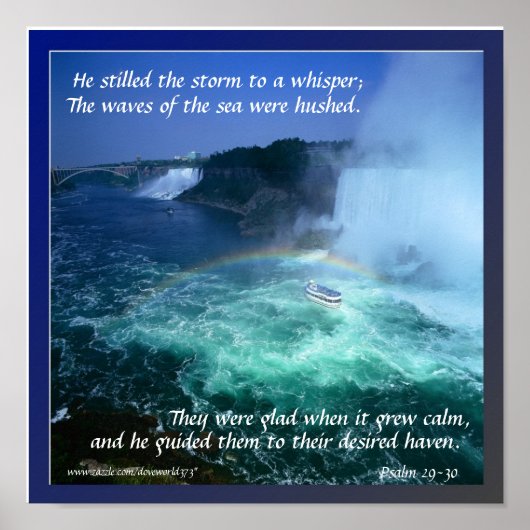 ストル・ザ・ストームポスター ポスター (正面)