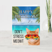 ストレスは猫に任せて　タビー猫の楽しい誕生日 カード (正面)