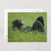 ストレスレリーフ、 浮き彫り ポストカード (正面/裏面)