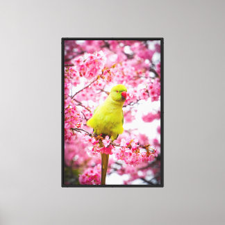 ストレッチされたキャンバス印刷 – さくらんぼBlossom Paraket キャンバスプリント