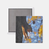 ストレッチリス2 マグネット (正面/裏面)