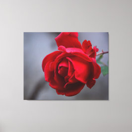 ストレッチ壁キャンバス キャンバスプリント