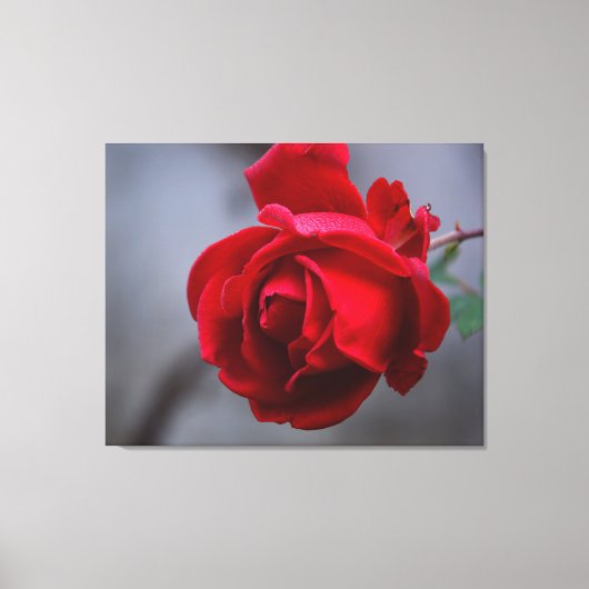 ストレッチ壁キャンバス キャンバスプリント (正面)