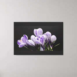 ストレッチ壁キャンバス キャンバスプリント