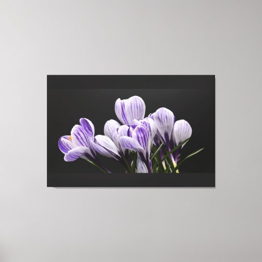 ストレッチ壁キャンバス キャンバスプリント (正面)