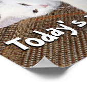 ストレッチ猫 – ポスター (角)