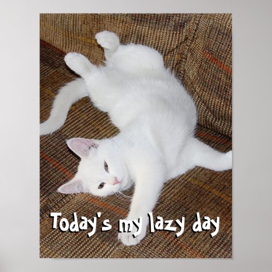 ストレッチ猫 – ポスター (正面)