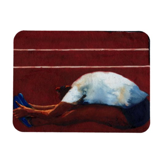 ストレッチ2011 マグネット (横)