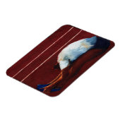 ストレッチ2011 マグネット (左側)