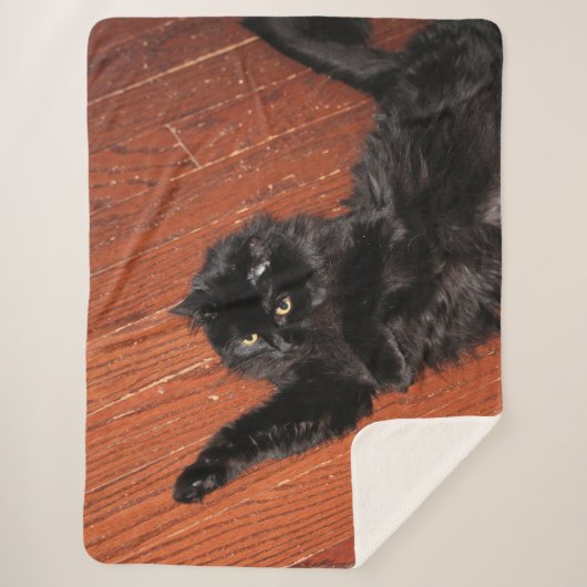 ストレッチ シェルパブランケット (正面)