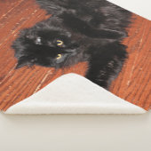 ストレッチ シェルパブランケット (3/4)