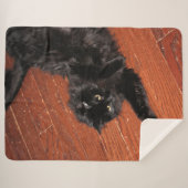 ストレッチ シェルパブランケット (正面(横))