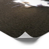 ストレッチ….. ポスター (角)