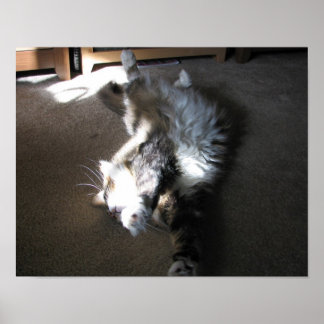 ストレッチ….. ポスター