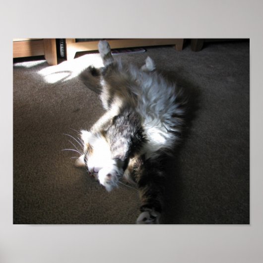 ストレッチ….. ポスター (正面)