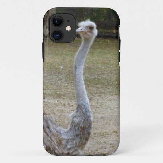 ストレッチ Case-Mate iPhoneケース (裏面)