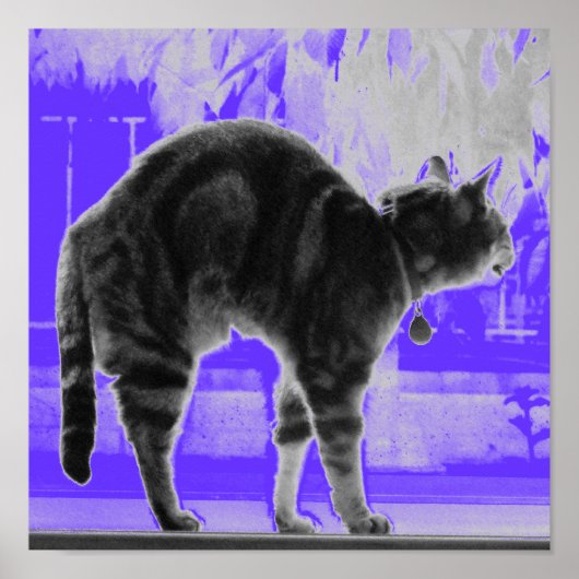 ストレッチIndigo B+W ポスター (正面)