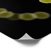 ストレプトコッカス1の顕微鏡的見解 ポスター (角)