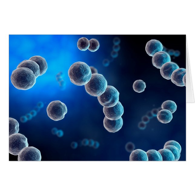 ストレプトコッカス2の顕微鏡的見解 (正面横)